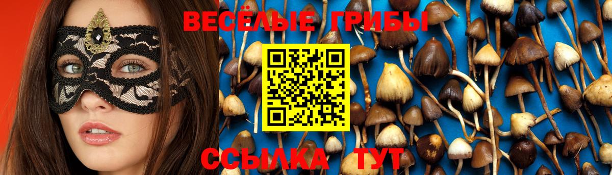 Галлюциногенные грибы мухоморы  Вход с VPN  Дзержинск 