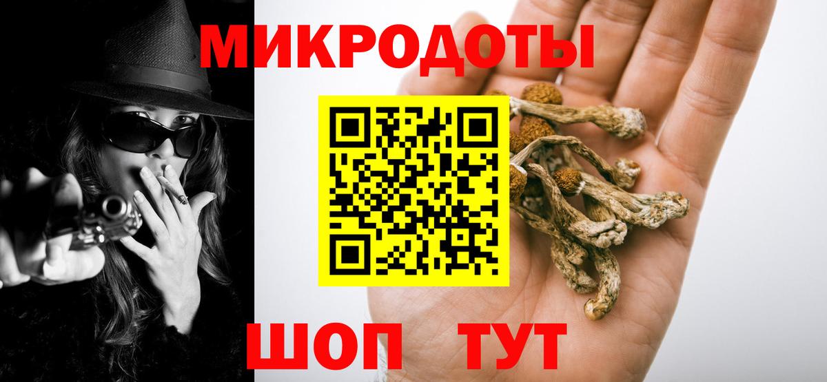 Псилоцибиновые грибы Psilocybe Дзержинск